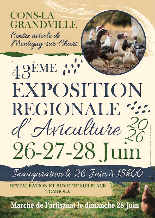 Affiche